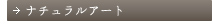 ナチュラルアート