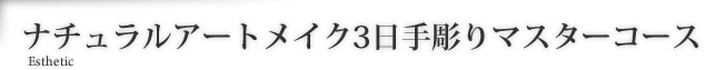 ナチュラルアートメイク3日手彫りマスターコース