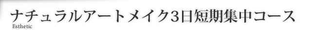 ナチュラルアートメイク3日短期集中コース