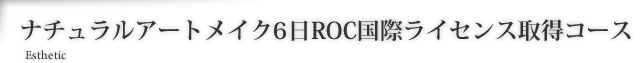 ナチュラルアートメイク6日ROC国際ライセンス取得コース