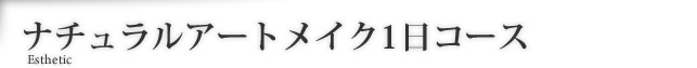 ナチュラルアートメイク1日コース