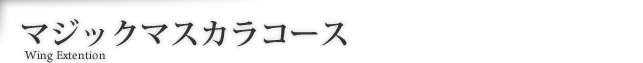 マジックマスカラコース