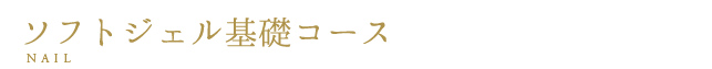 ソフトジェル基礎コース